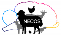 NECOS_Logo_2024